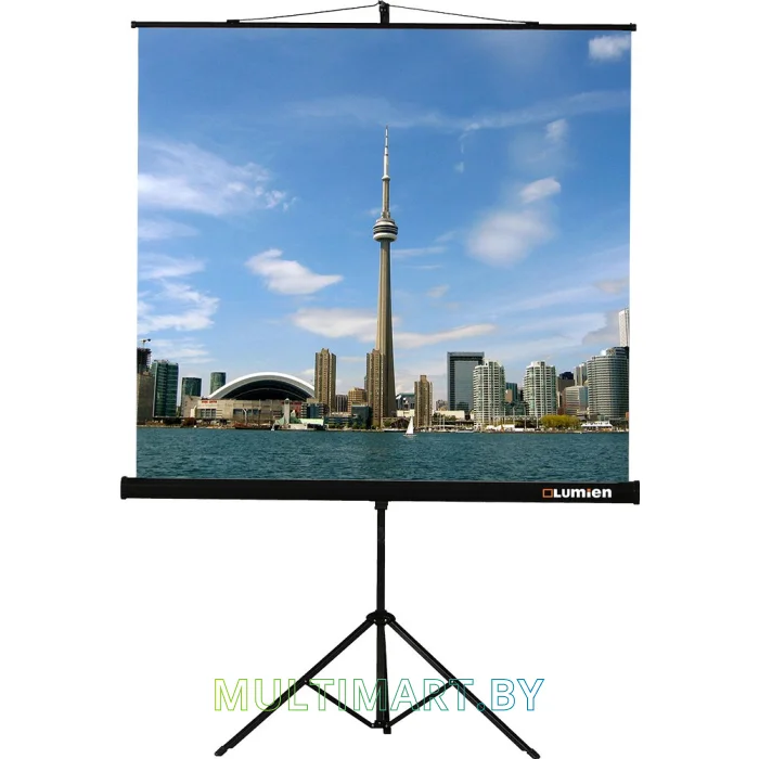 Проекционный экран Lumien Eco View (LEV-100101)